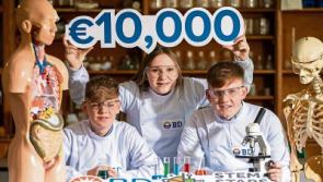 Be a STEM star in Limerick and win €10k for your school