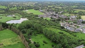 Limerick village's biodiversity park moves a step closer  