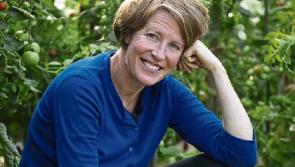 Film maker bringing a little food for thought to Limerick &nbsp;