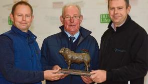 Limousin society honours a Rolls Royce of a Limerick farmer