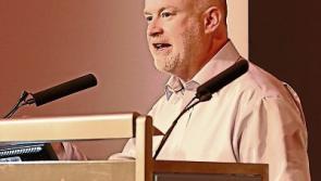 Limerick Senate hopefuls face tough battle for votes 