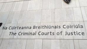 Limerick man accused of trafficking rhino horn seeks bail as Covid-19 halts extradition to US