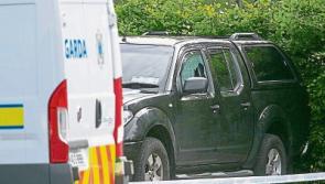 Two appear before Special Criminal Court charged over alleged murder plot in Limerick