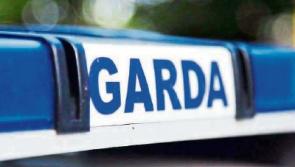 BREAKING: Firearms recovered during searches of waste ground in Limerick