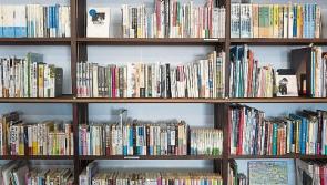 Limerck libraries reopen – under much changed circumstances