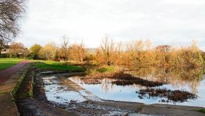 Water sampling gets underway at popular Limerick bathing spot 