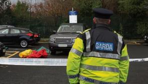 Gardai to speak with Steve Collins following fatal accident