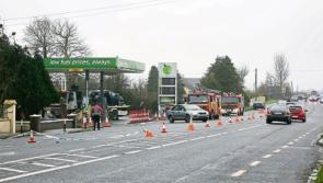 Victim of fatal West Limerick road crash named
