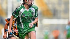 Limerick camogie side look to build on bright start to&nbsp;league