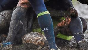 UL Bohs and Shannon target AIL 1B victories 