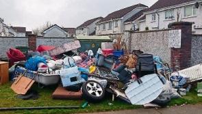 Council to probe illegal dumping case in Limerick