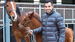 Sheikh Fahad dreams of Limerick Classic winners as he visits foals