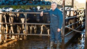 Reduced March milk cheques are sending out 'shock waves' in Limerick