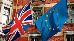 8,000 Britons living in Limerick urged to vote in 'Brexit'