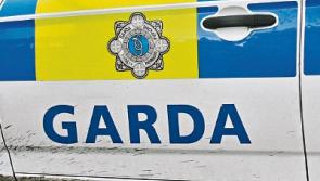 Man shot by garda in County Limerick incident
