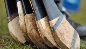 Limerick camogie side get the better of Clare