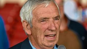 Limerick GAA to unveil hurling selection committee to appoint manager