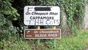 'F*** the cops' graffitied on Limerick village sign