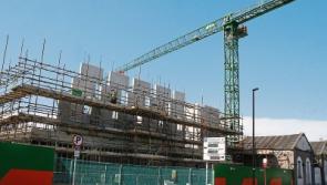 Return of cranes to Limerick skyline 'like seeing fire for first time'