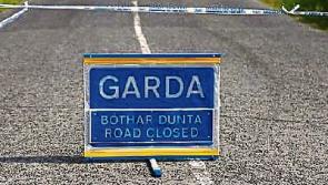 Pedestrian killed in Limerick road collision is named