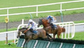 Limerick stages JT McNamara Ladbrokes Munster National