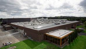 Troy Studios open day in Limerick attracts huge interest