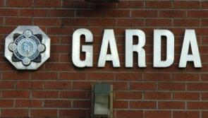 Garda strike still going ahead on Friday, says Limerick division