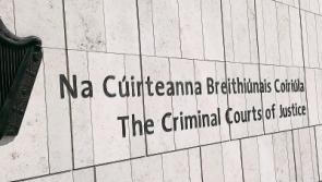 Limerick man admits having 700 rounds of ammunition