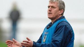 Big win for Limerick hurlers over Kerry but promotion hopes still fade