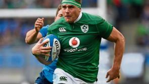 Hogg beats Stander to 6 Nations Player of the Championship
