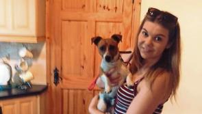 Limerick councillor says children 'coming home covered in dog dirt'