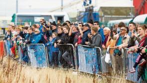 Fáilte Ireland allocates €33,000 to Limerick festivals