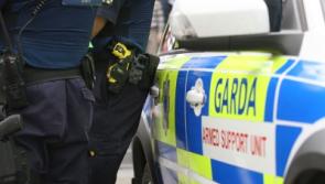 Limerick 'not ready' for ISIS-style terror attack