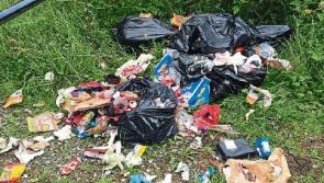 New Yorker's Limerick holiday spoiled by rubbish