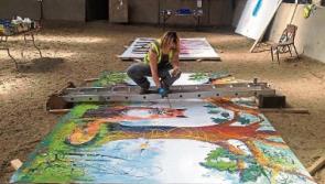 Limerick artist to headline her own show at Electric Picnic