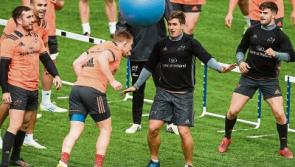 Munster second row Gerbrandt Grobler out until New Year