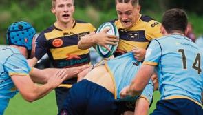 Limerick's seven Ulster Bank League  clubs chase precious wins