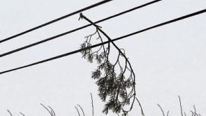 Flood barriers activated in Limerick as Met Éireann issues weather alert