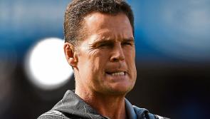 Springboks cancel training due to Covid cases in squad