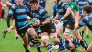 WATCH: Resurgent Shannon bag five tries to cement top spot in Ulster Bank League 1B