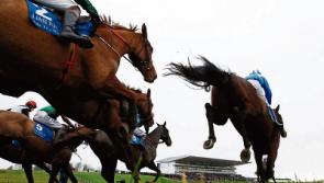 Green light for Limerick Christmas racing&nbsp;as attendances reach&nbsp;25,000