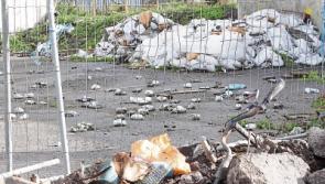 Limerick city regains 'Clean to European Norms' status in IBAL report