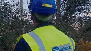 Hundreds of Limerick homes&nbsp;without power as weather warning remains in place