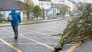 Almost €400,000 given to Limerick to tackle aftermath of ex-Hurricane Ophelia
