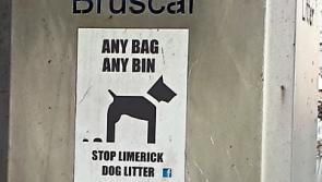 'It's getting worse': Limerick resident calls for crackdown on&nbsp;dog fouling