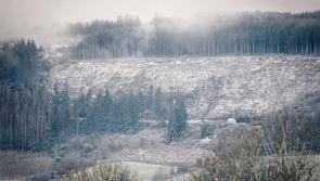 Met Éireann issue red alert snow and ice warning for Limerick