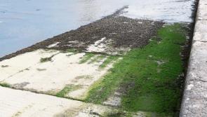 West Limerick pier to be cleaned after fears of &lsquo;Buncrana waiting to happen&rsquo;