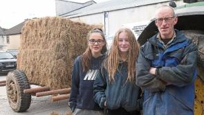 Limerick farmers at wits’ end over lengthy winter