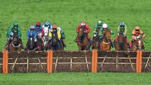 THE PUNTER'S EYE: Aintree Day 2 Tips - Friday, April 13
