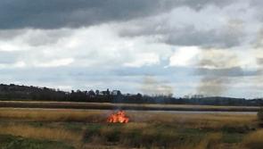 Willow Fire hits edge of Limerick